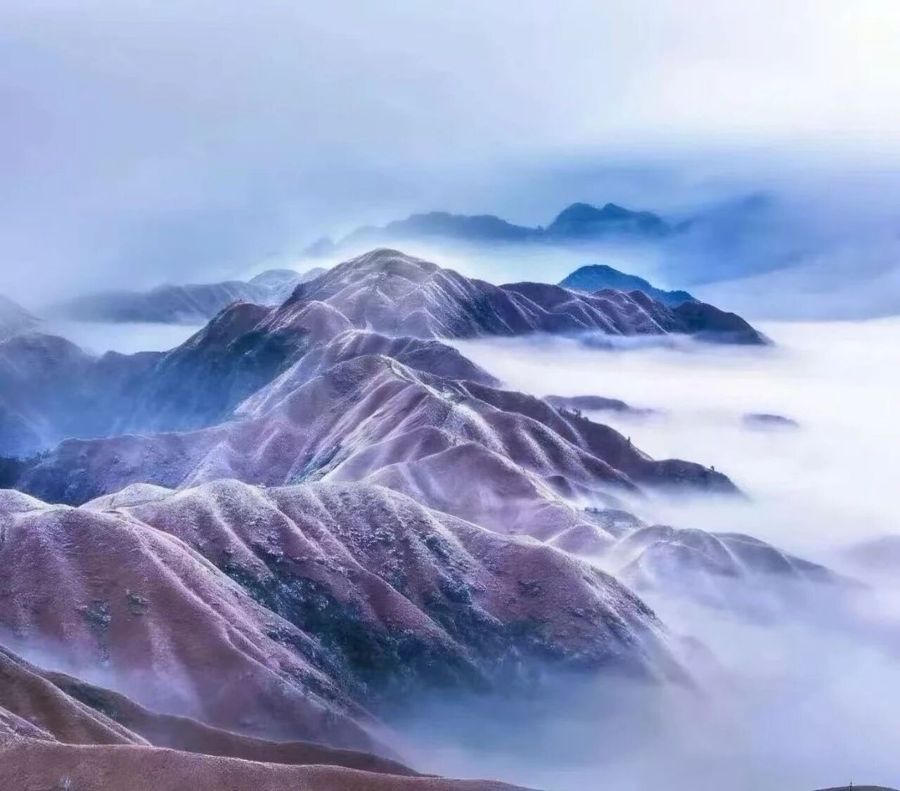 《江西风景独好》节选 | 云端仙境——武功山